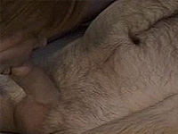 fucking hot lesbian with a blonde mature